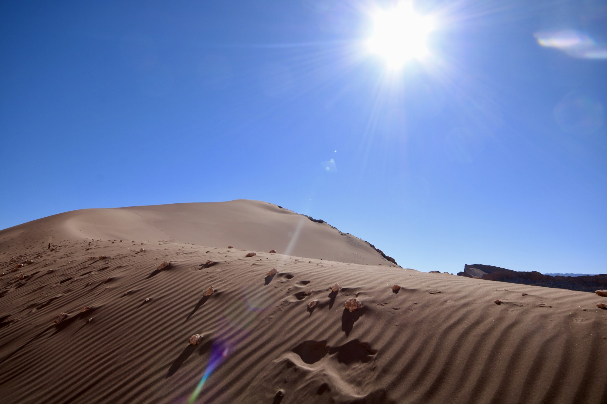 Atacama y el altiplano