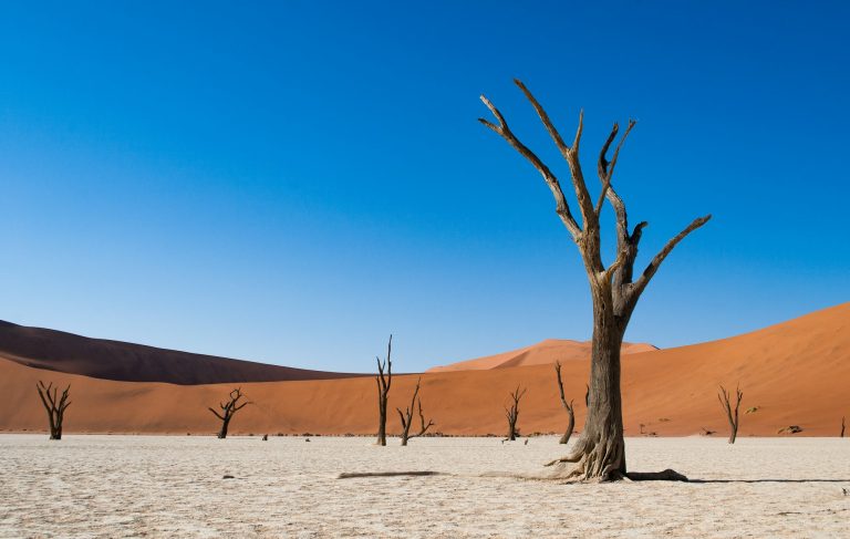 The Oldest Desert