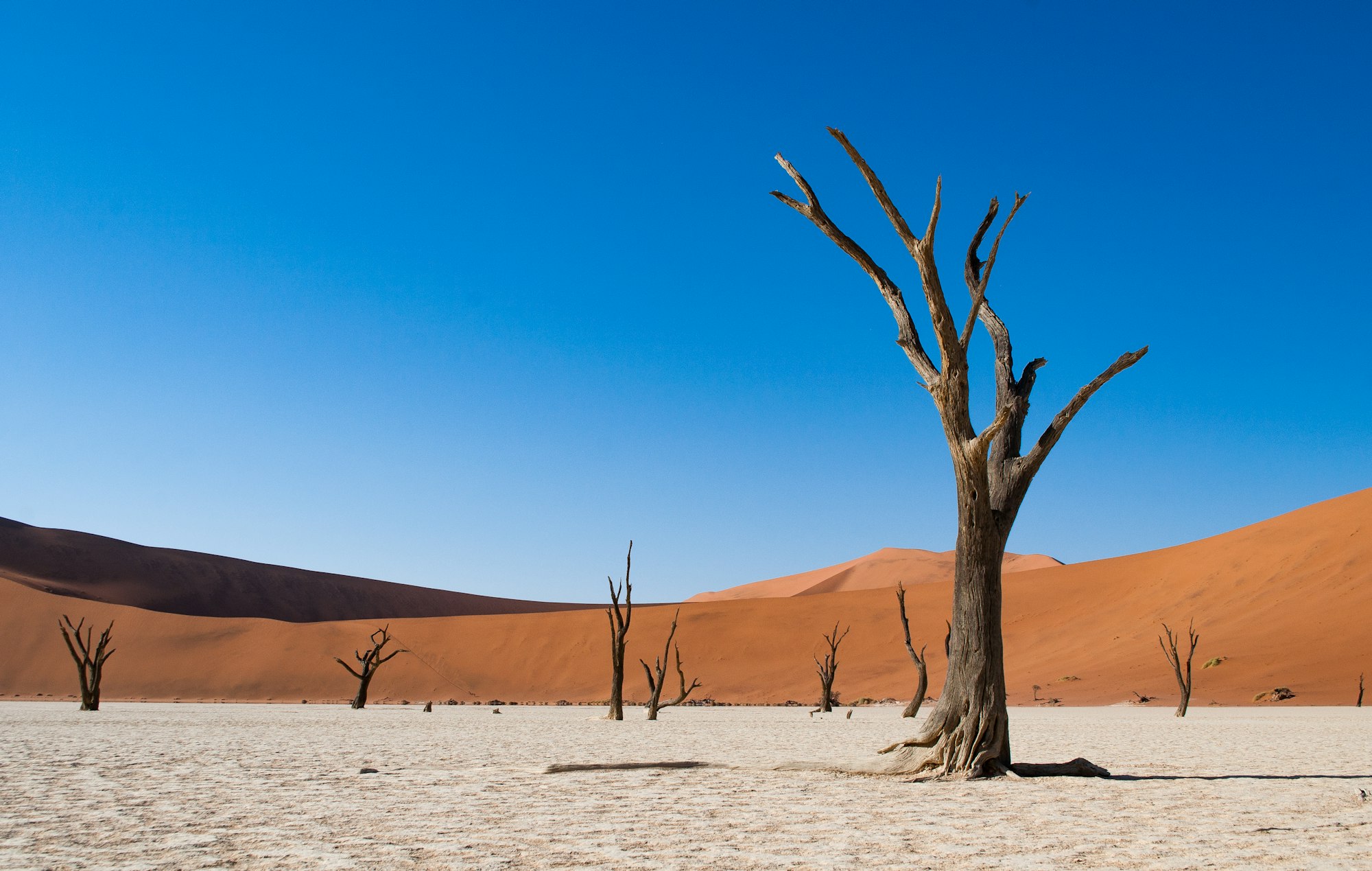 El desierto más antiguo